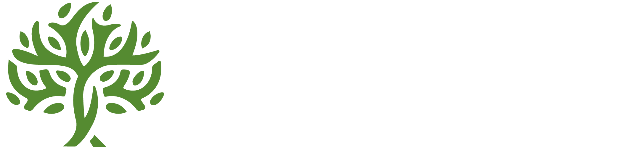 All Seasons Leisure