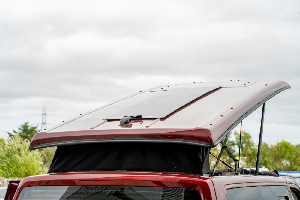 T-dsc011231-1.jpg