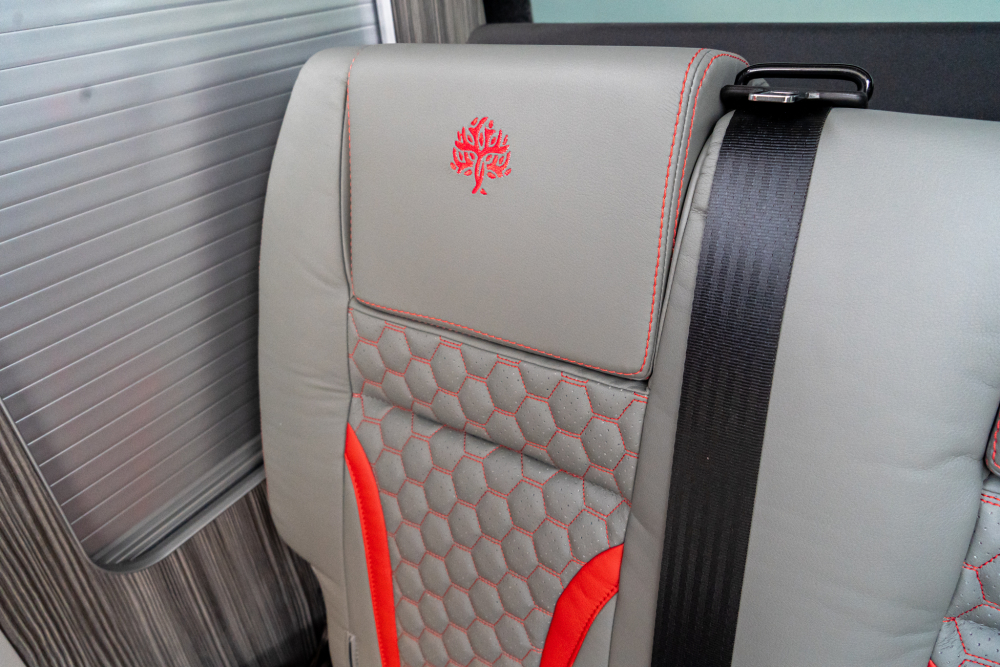 T-dsc011751-1.jpg