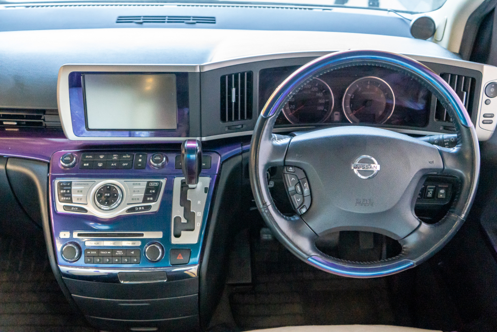 T-dsc013742-1.jpg