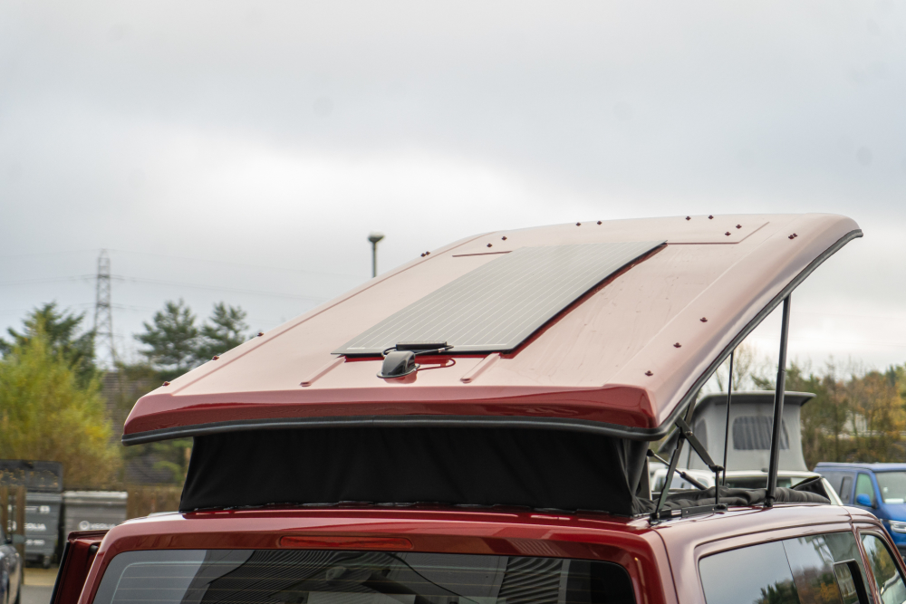 T-dsc019173-1.jpg
