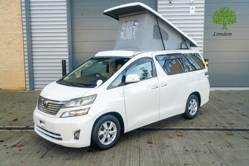 T-dsc01925-1.jpg