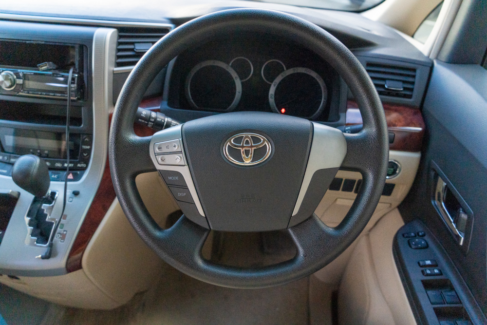 T-dsc019481-1.jpg
