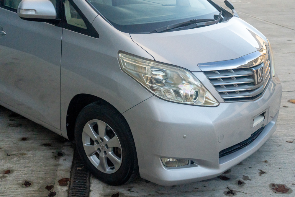 T-dsc019911-1.jpg