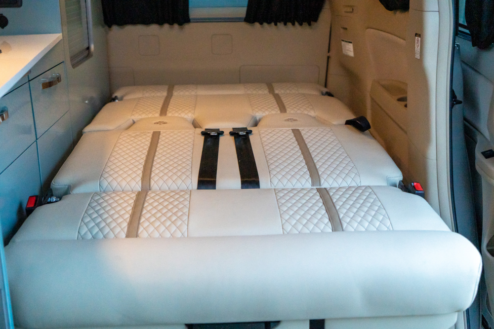 T-dsc020101-1.jpg