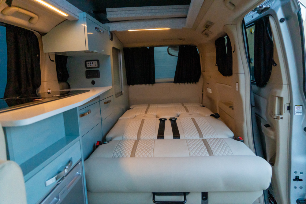 T-dsc020111-1.jpg