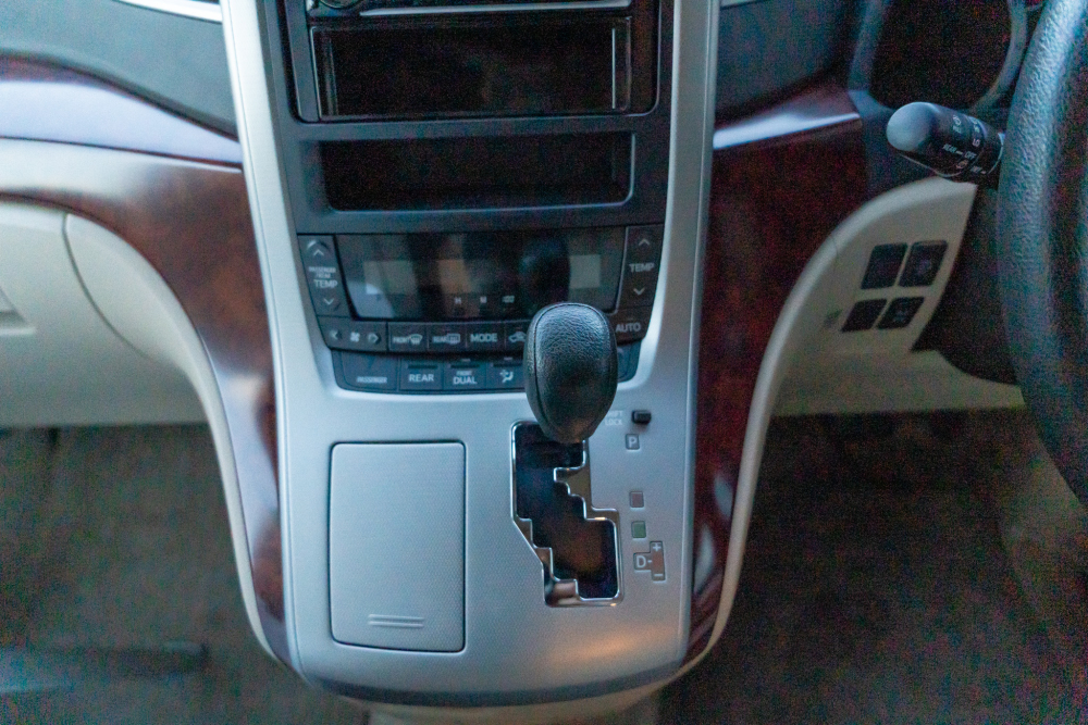 T-dsc020141-1.jpg