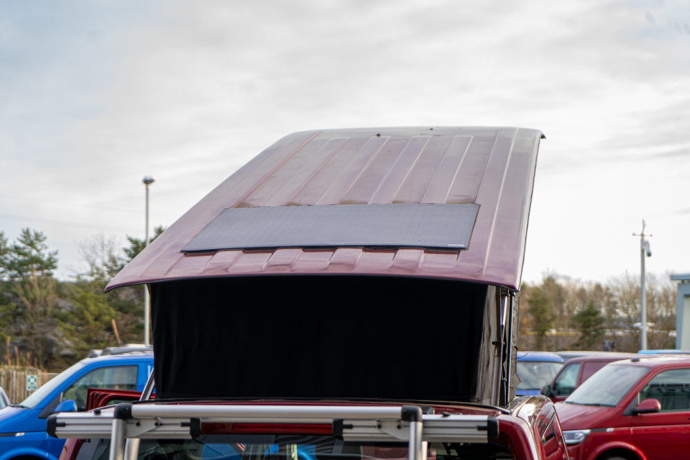 T-dsc023221-1.jpg