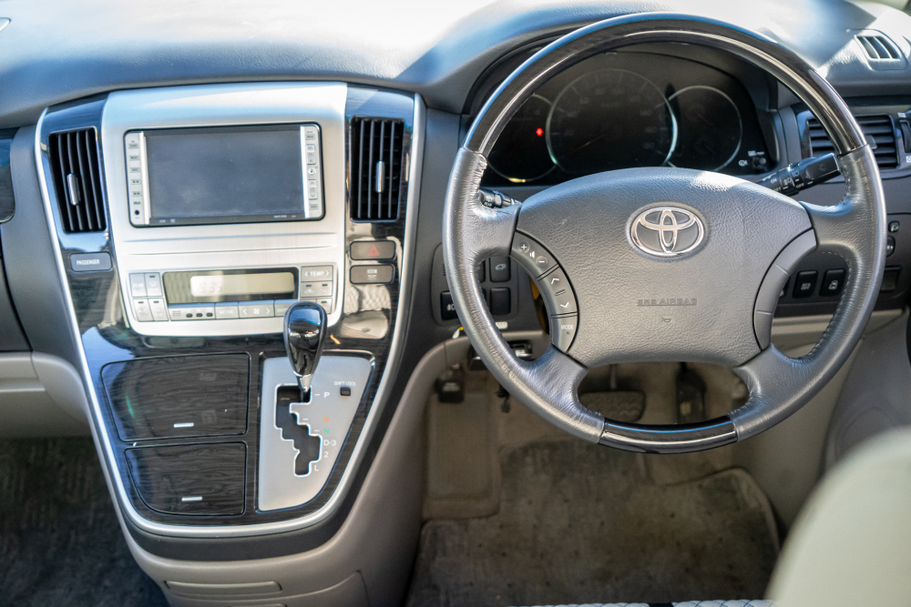 T-dsc028121-1.jpg