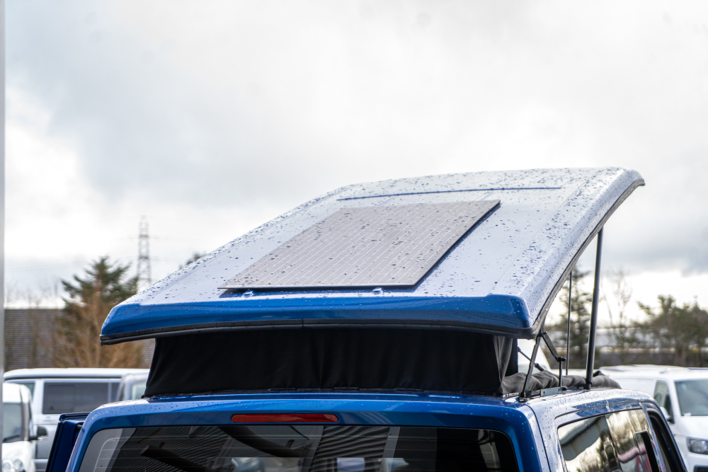 T-dsc04130-1.jpg