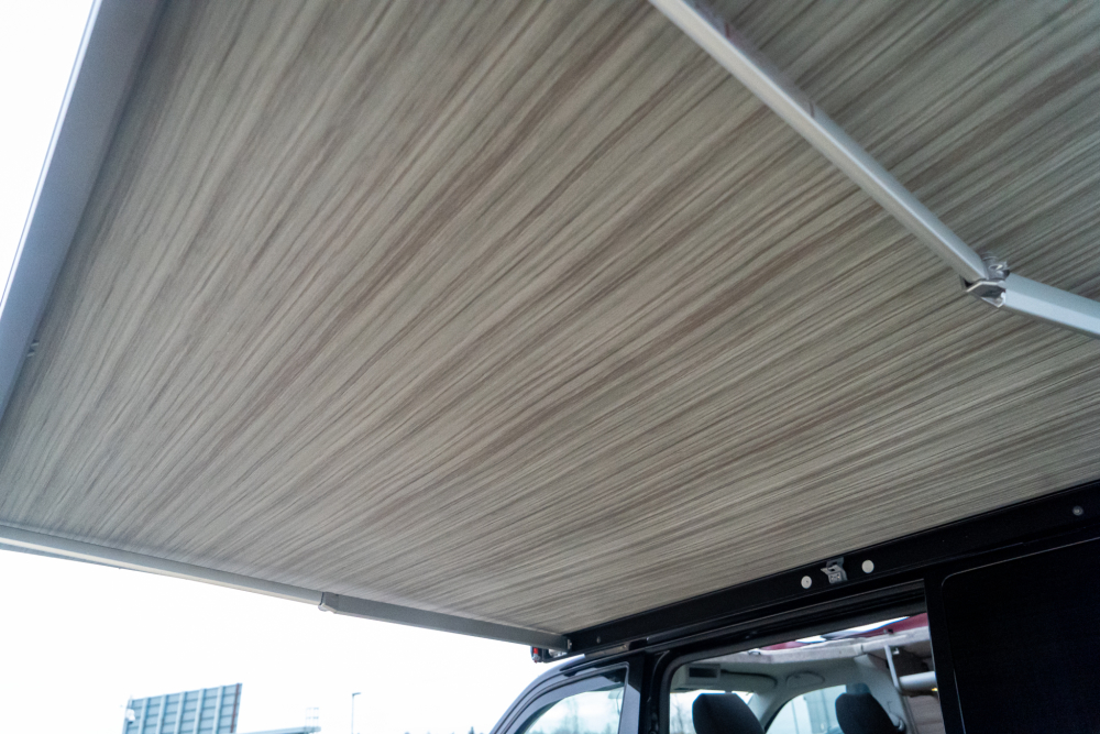 T-dsc042251-1.jpg