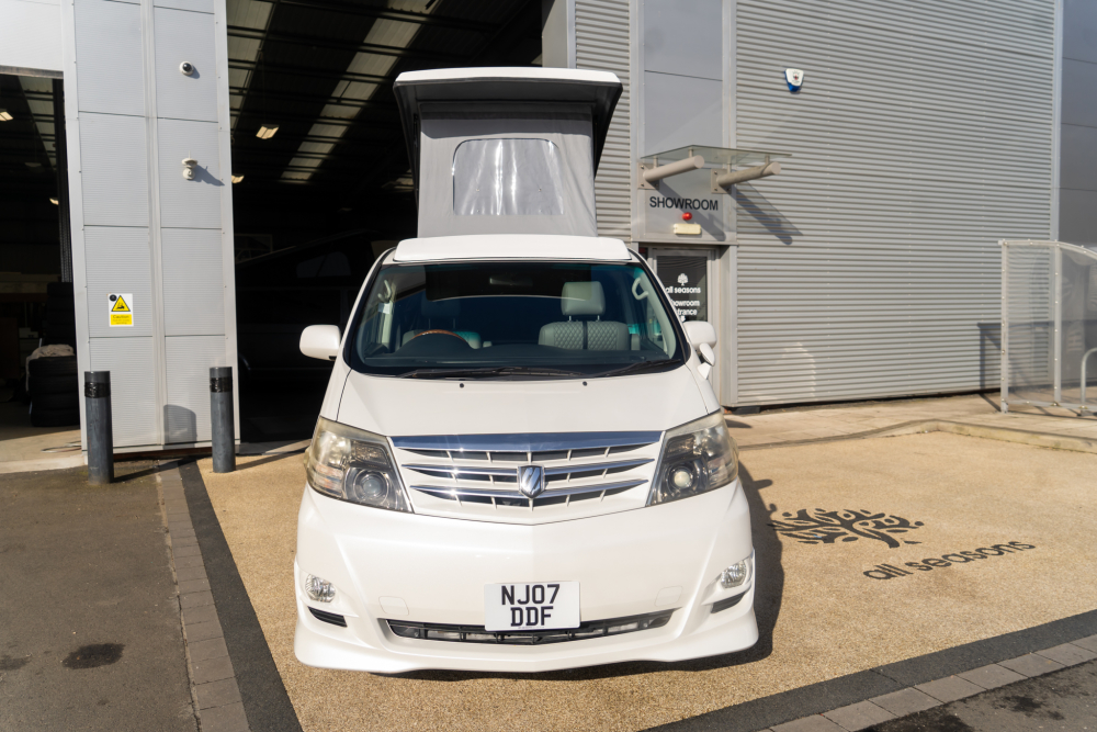 T-dsc045861-1.jpg