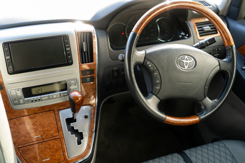 T-dsc045911-1.jpg