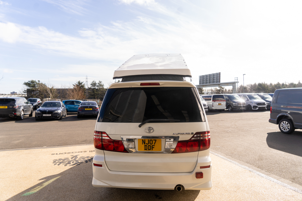 T-dsc04620-1.jpg