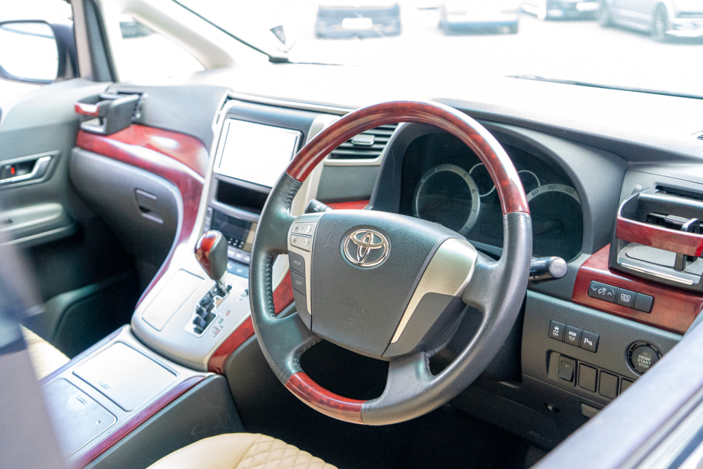 T-dsc095512-1.jpg