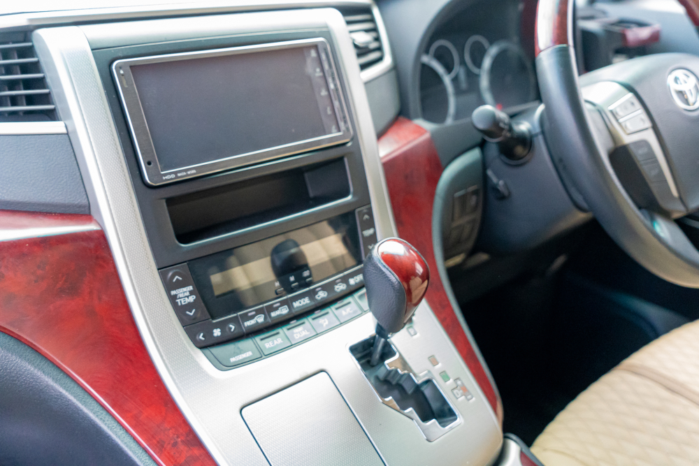 T-dsc095532-1.jpg